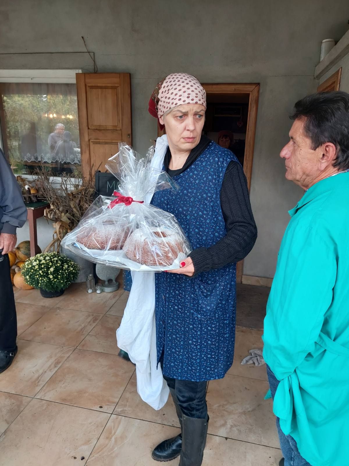 Branje kukuruza u Domašincu