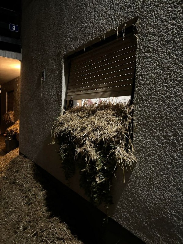 NATEPANJE, Silvijo i Tena Vurušić