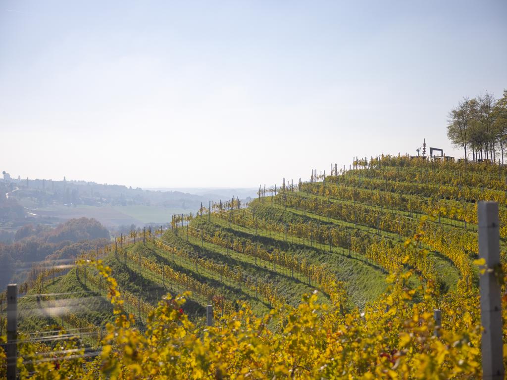 Image 5118928 (auto) Image 5118928 (auto)