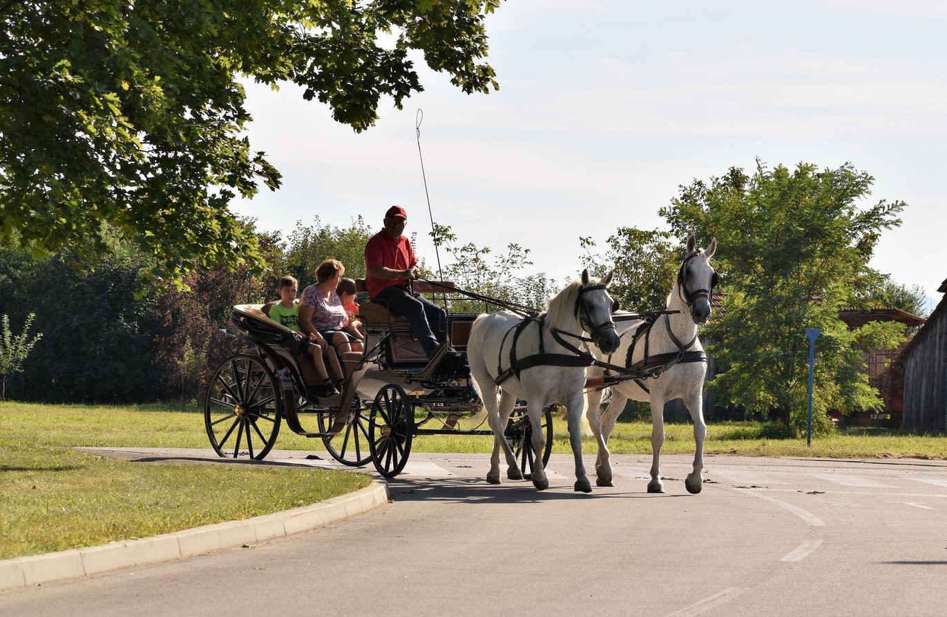 Dan Savske Vesi proslavljen uz tradicionalan mimohod mještana i udruga, zabavan program i besplatan grah