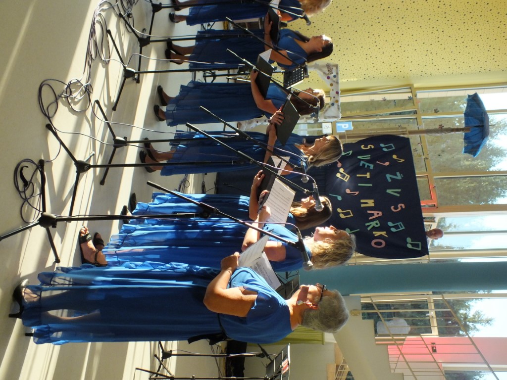 Image 5833237 (auto)