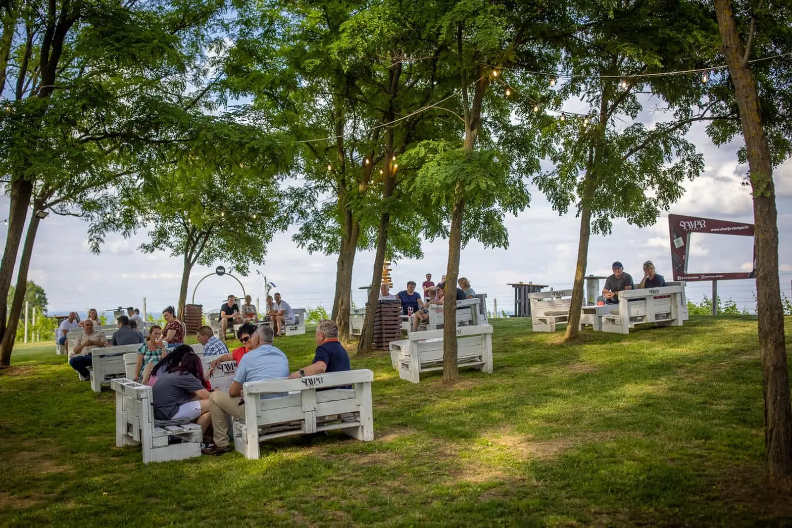 vinarija štampar Mađerkin breg vinarija štampar Mađerkin breg
