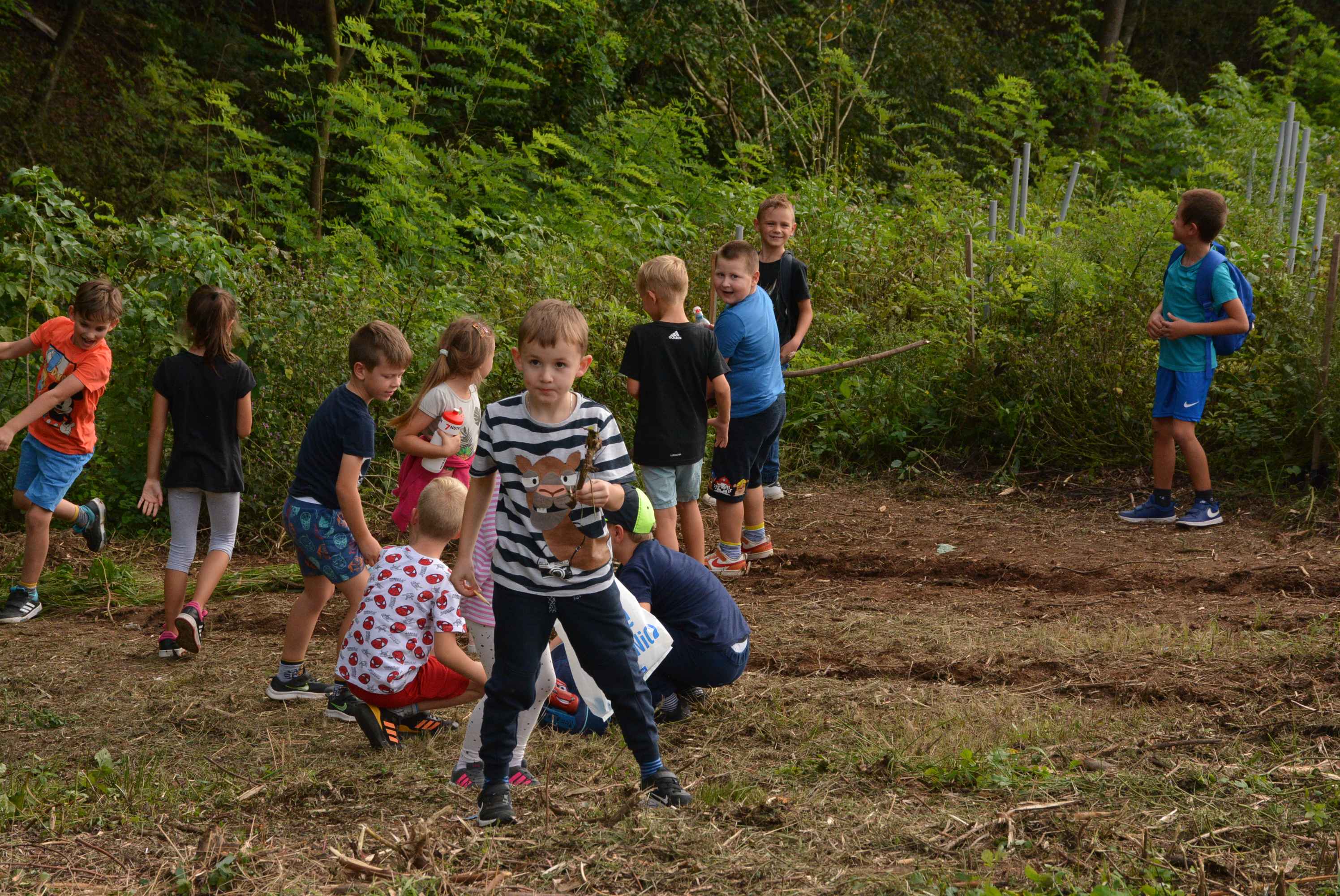 KNEZOVEC Održana velika akcija pošumljavanja u ogranizaciji tvrtke Sobočan