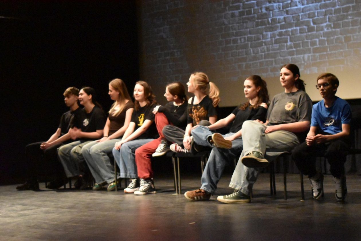 29. festival amatera prelog 2026 (13) 29. festival amatera prelog 2026 (13)