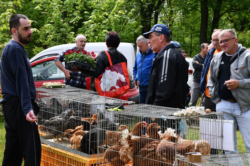 ČAKOVEČKI SAJAM SRIJEDOM Najveći interes i dalje vlada za presadnice