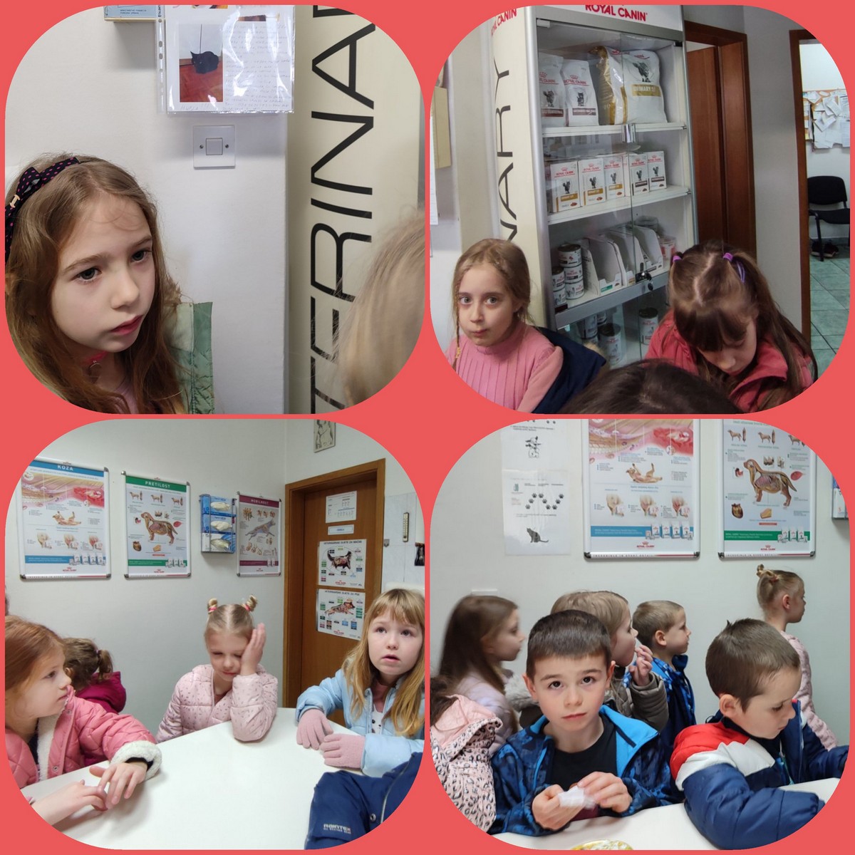 CVJETIĆI POSJETILI VETERINARA Djeca su imala prilike proći kroz cijelu ambulantu za kućne ljubimce