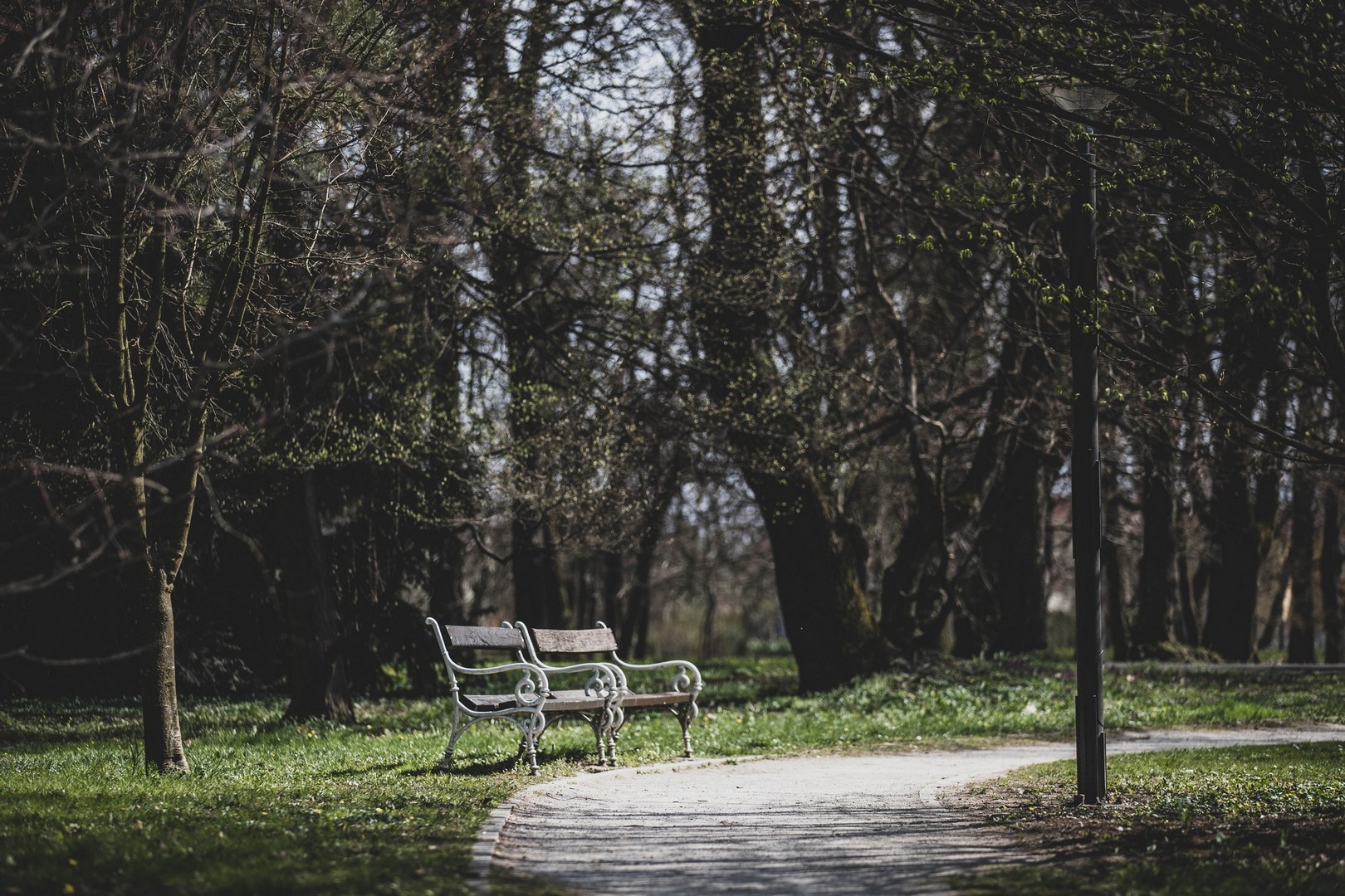 Proljetna cvjetna rapsodija u Međimurju iz objektiva Miroslave Novak Hranjec