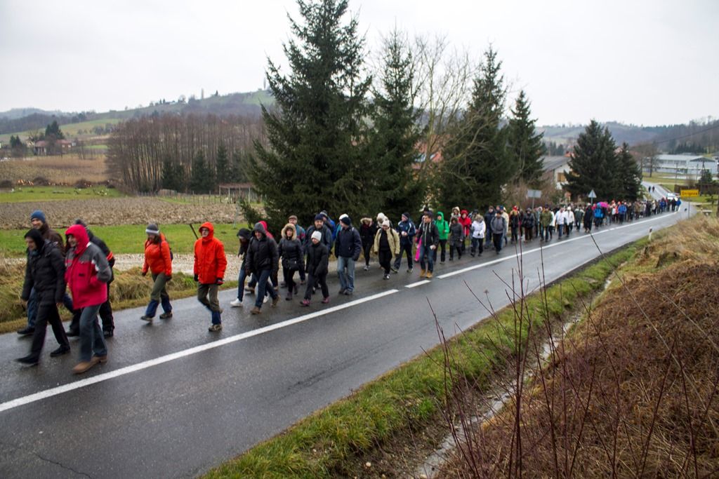 img8433vincekovo876763