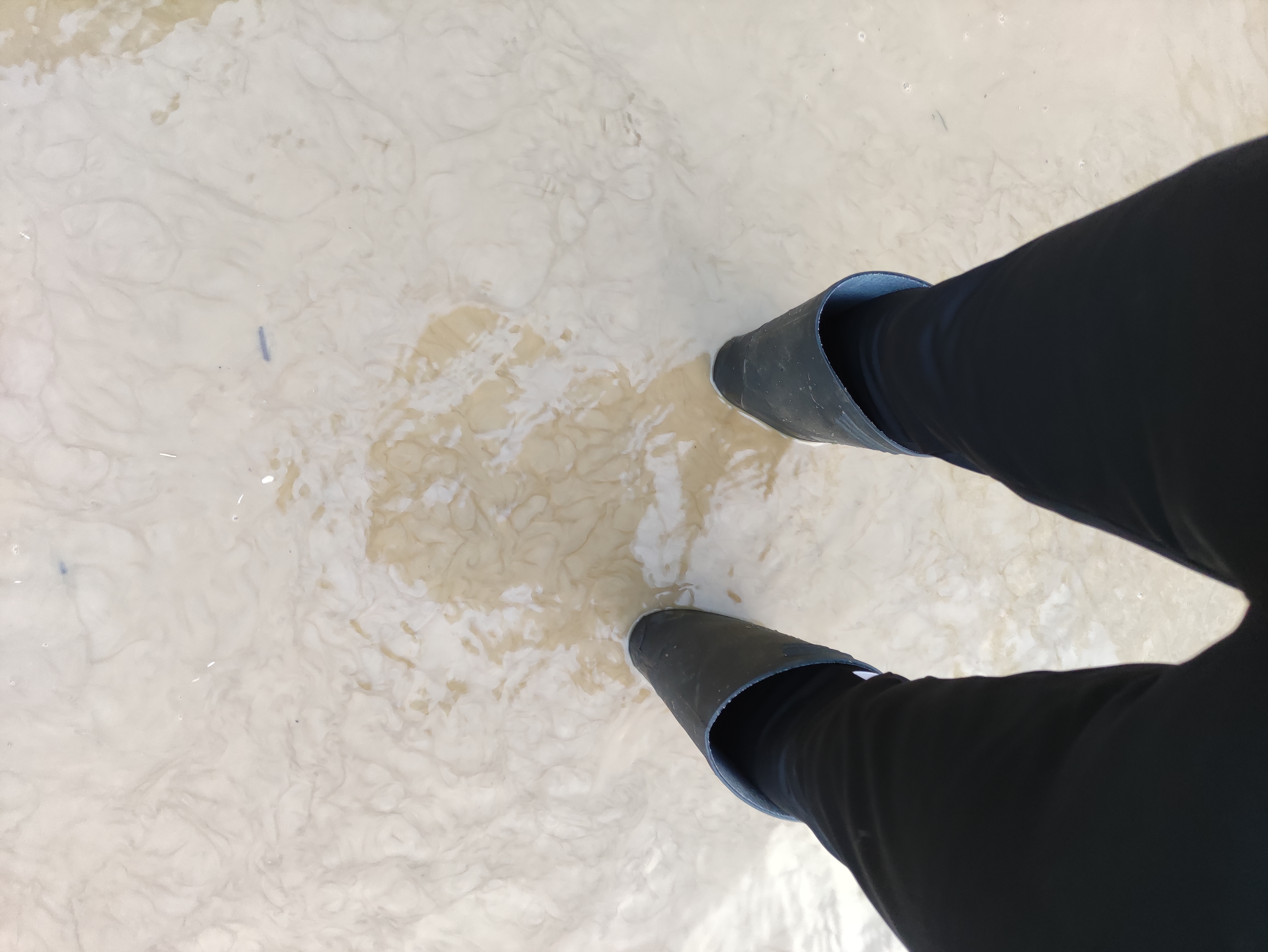 Poplava u Novom Selu Rok