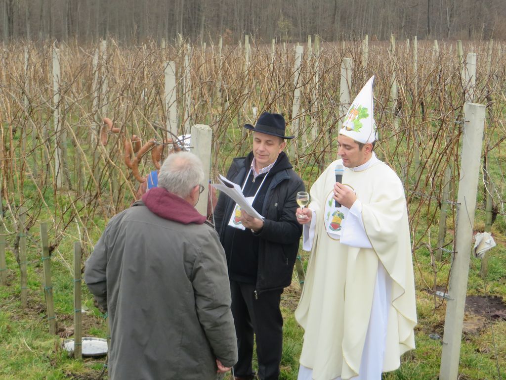 vincekovpohod16419935