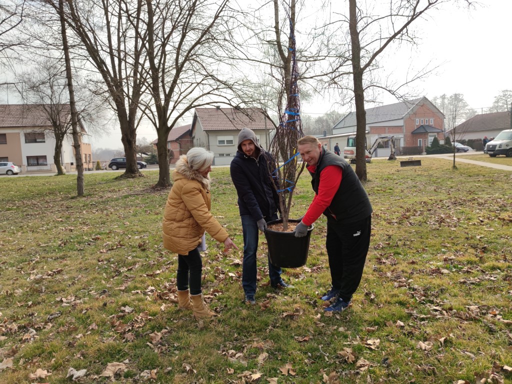 Belica, sadnja parka 2022