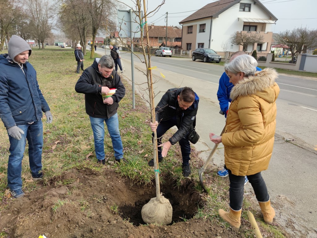 Belica, sadnja parka 2022