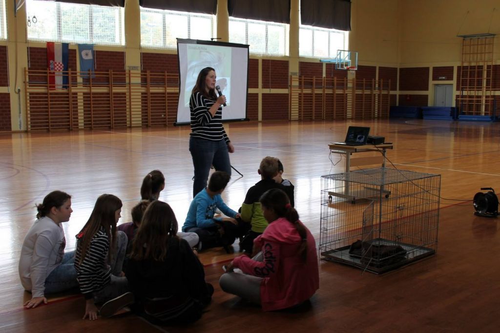 1458978553621042990486160420946