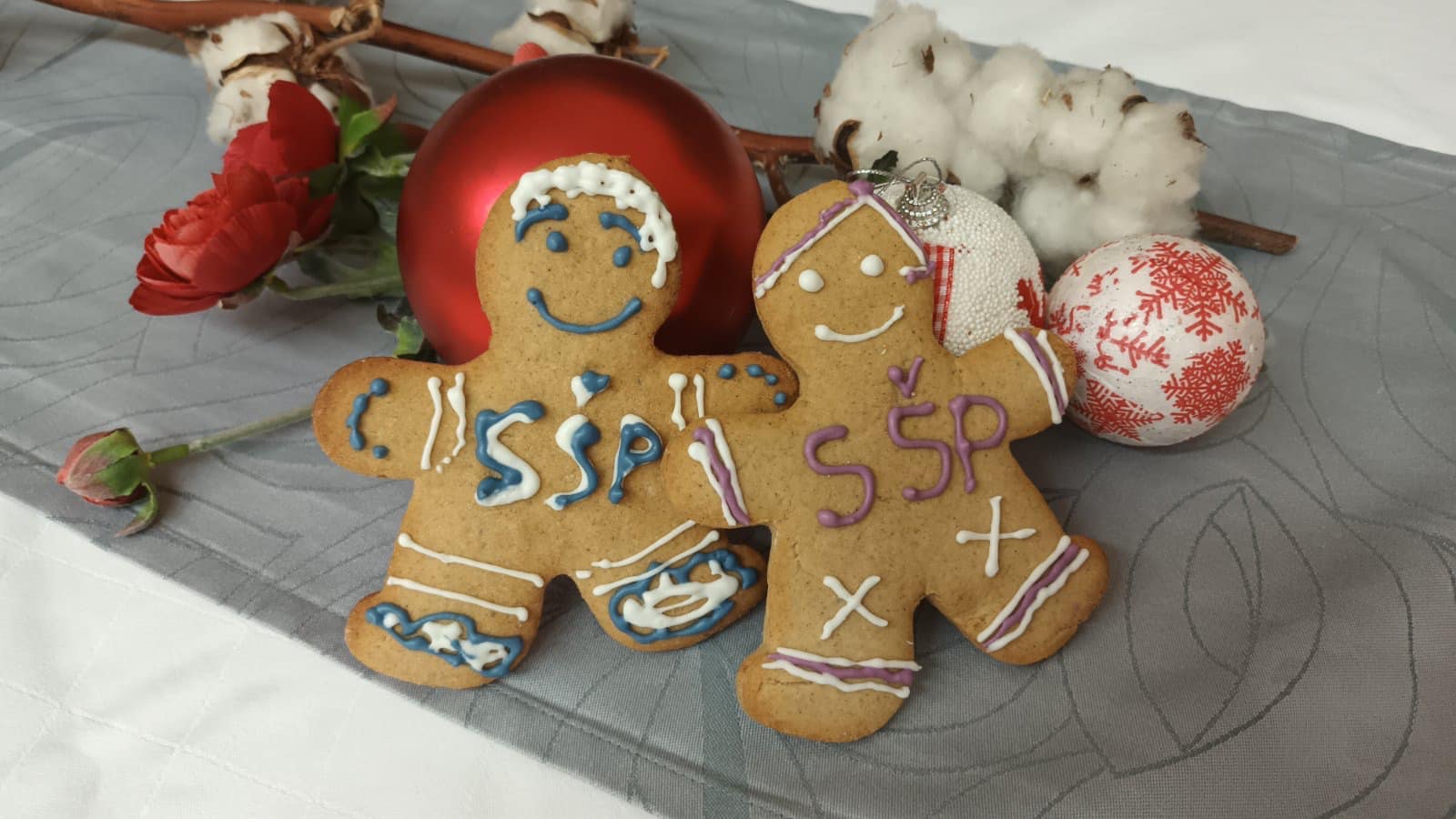 SREDNJA ŠKOLA PRELOG ‘Đinđeri’ šire božićno raspoloženje među srednjoškolcima