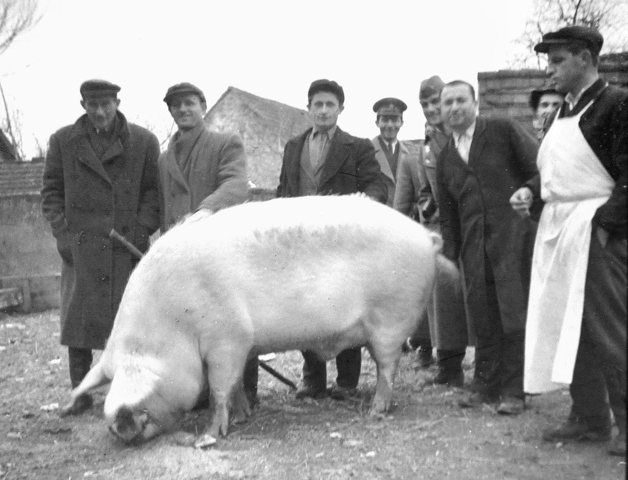 Fotografije donjodubravske prošlosti