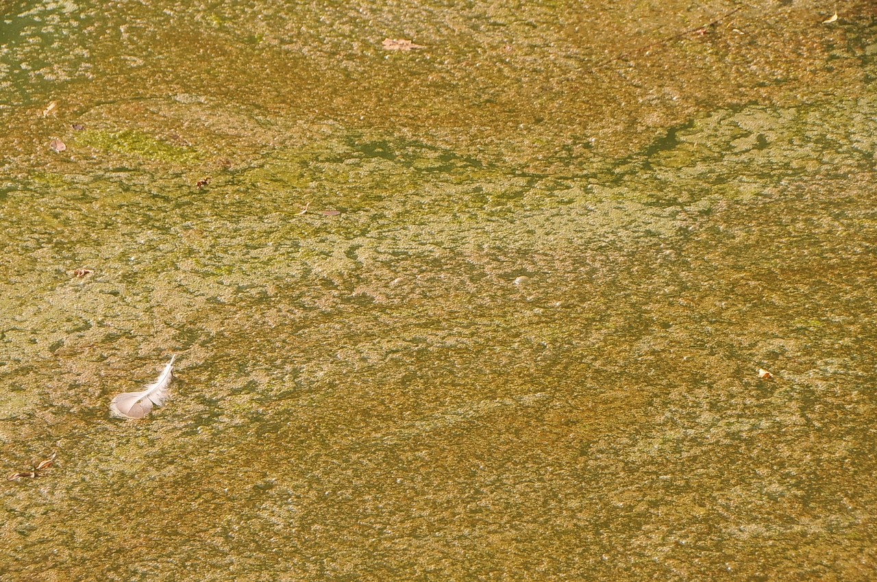 Mačkovčani ogorčeni crpljenjem vode iz Martice