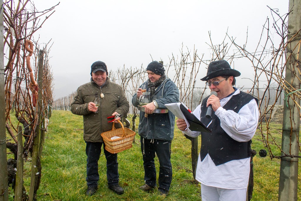 img8550vincekovo917289