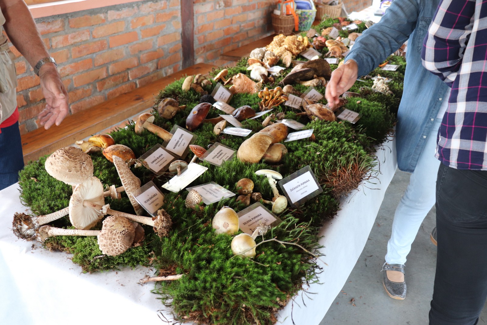 U Goričanu održana Gljivarijada