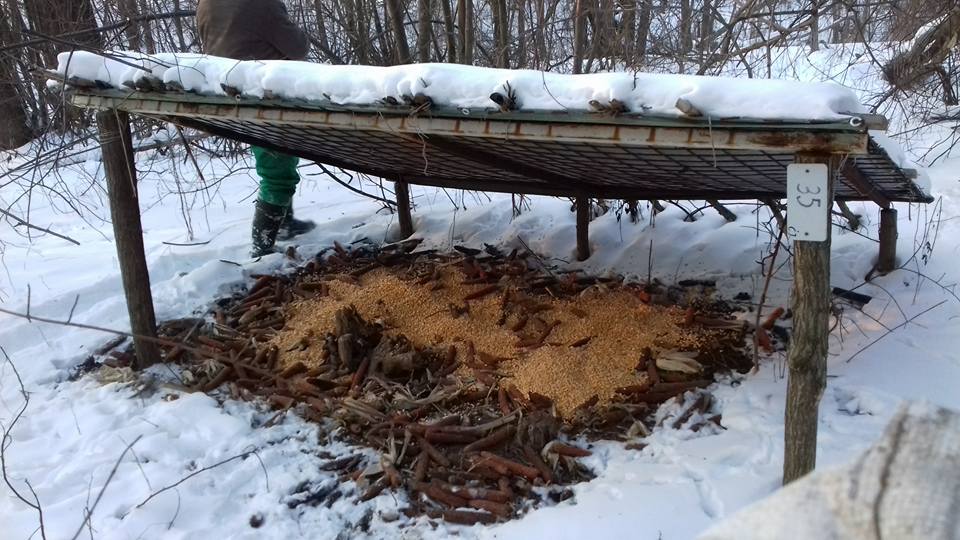 2846861310211604811257468345813