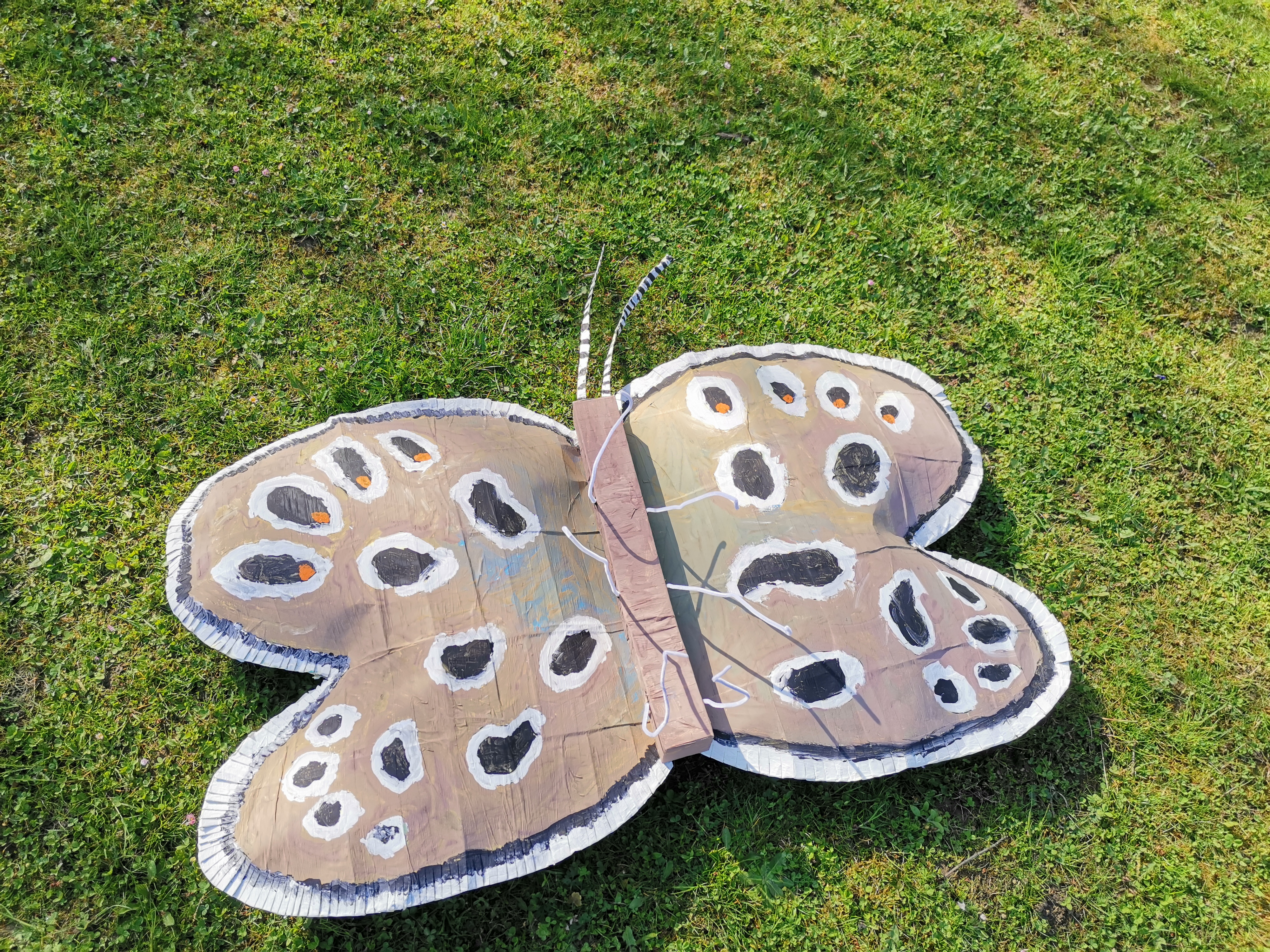 Djeca PO Stonoga iz Novog Sela Rok upoznala livadnog plavca