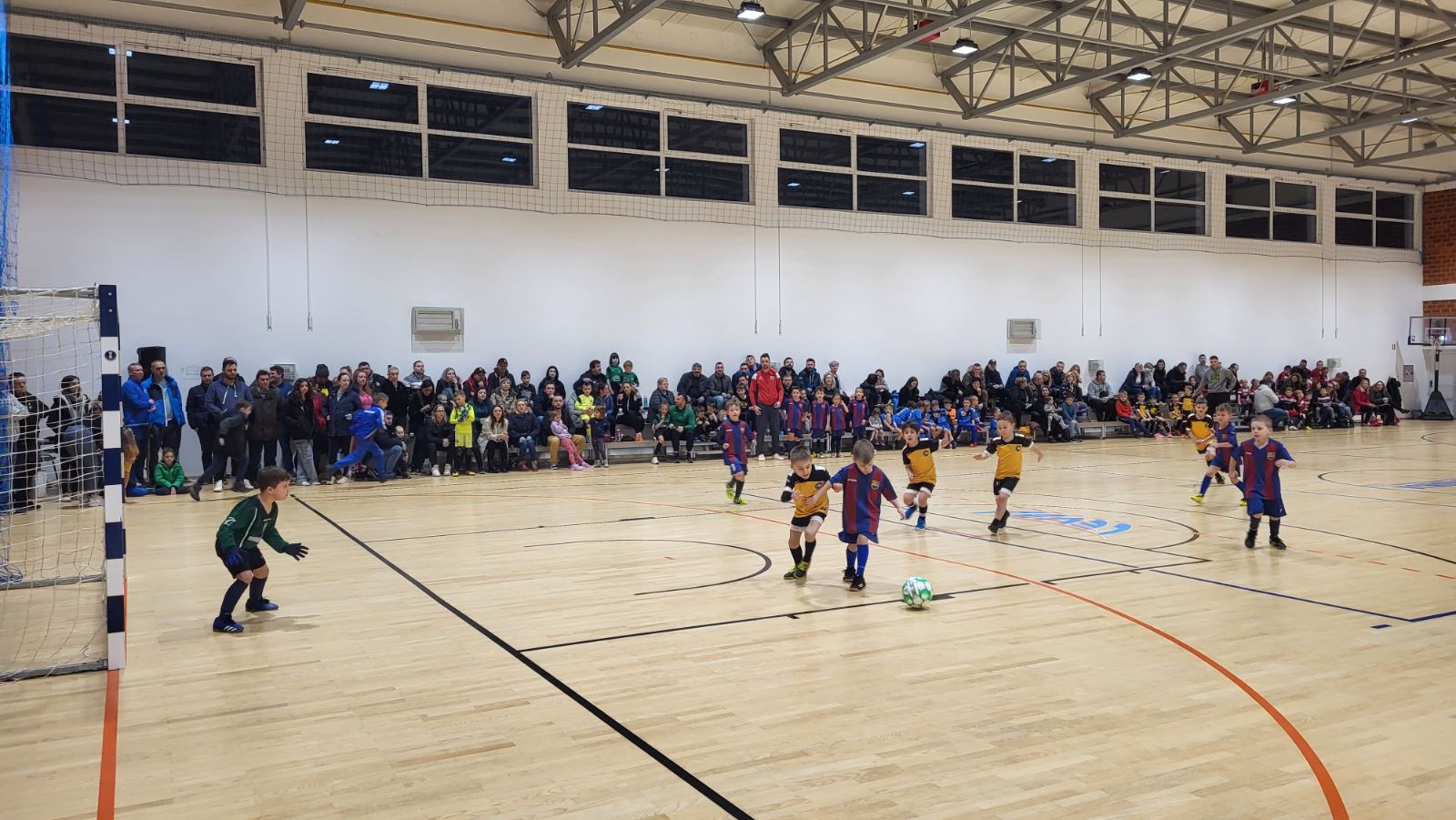 Dinamo-Zelenko Cup – kategorija U7