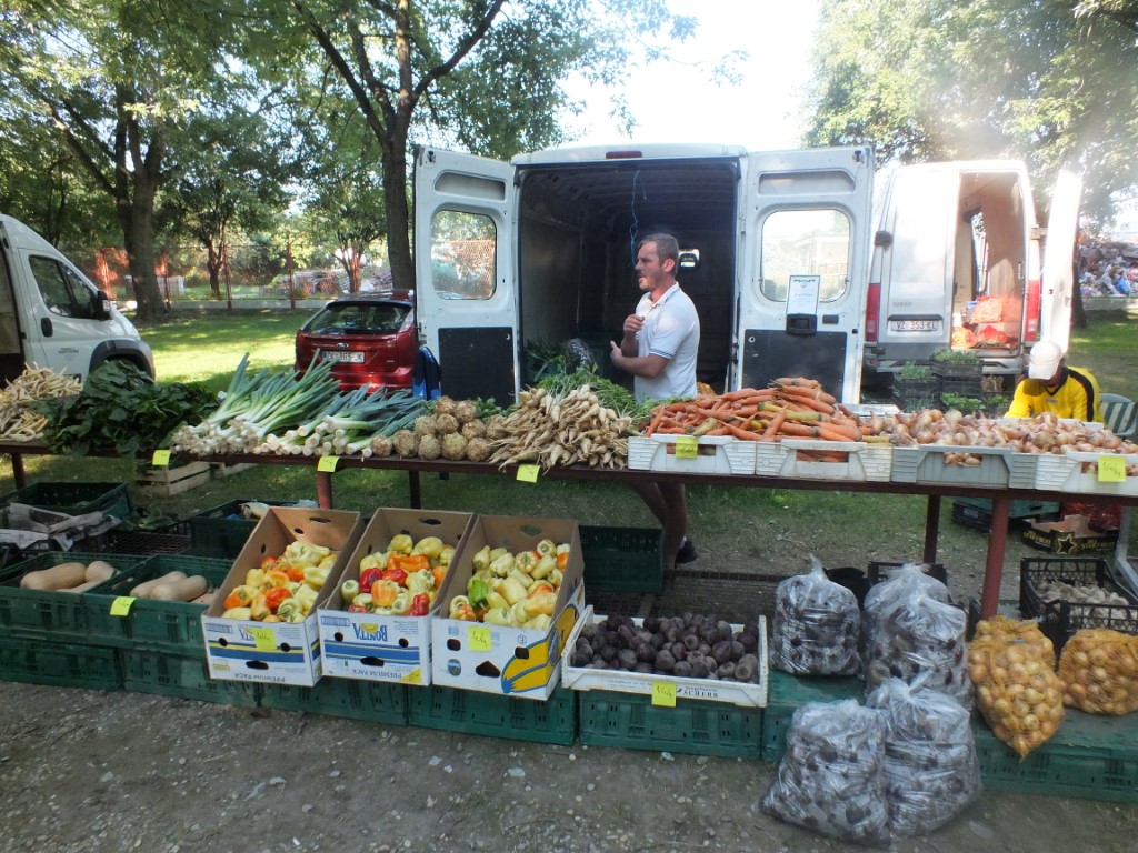 Image 5810851 (auto)