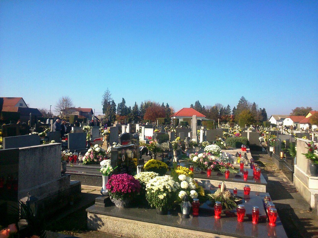 71dd22452cd061b6651cc0b52aaf7da