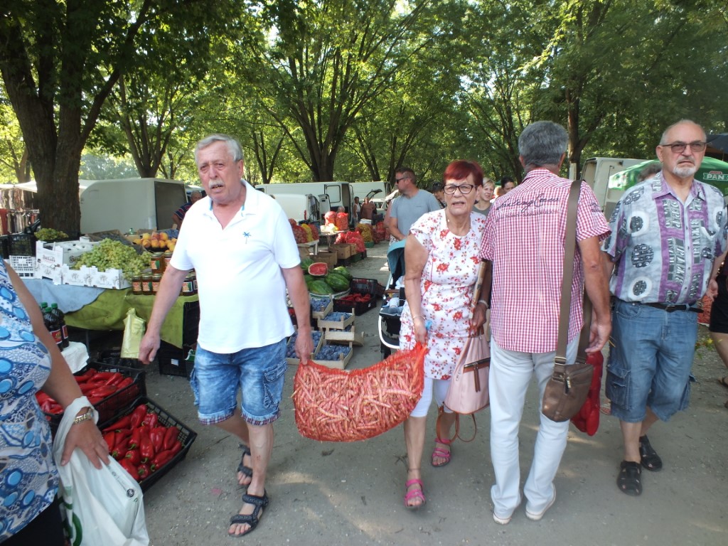 Image 5810893 (auto)