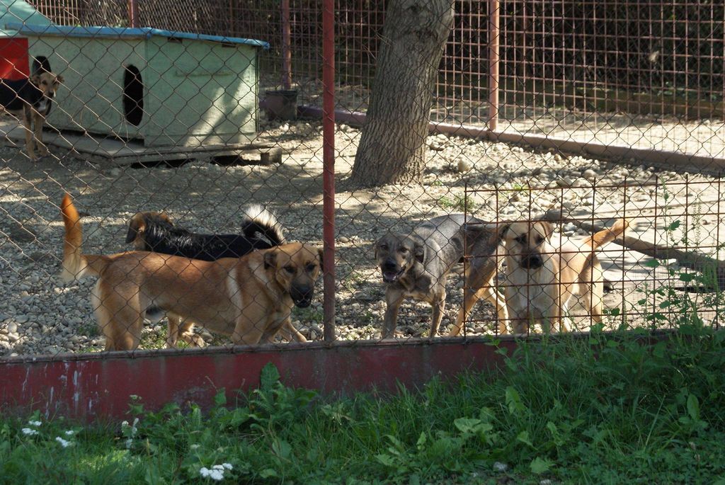 1202067510208324028207472149880