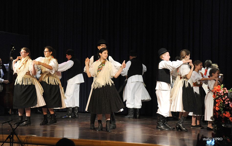 359115678dsc1967607733