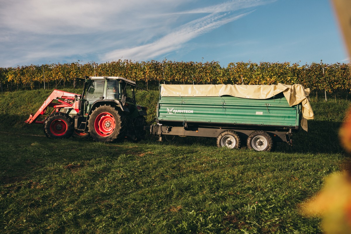 RAJKO CMREČNJAK ‘Osvojene medalje poticaj su nam za stvaranje budućih vrhunskih vina’