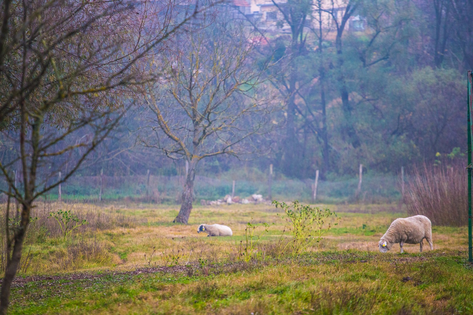 Međimurje se predalo jeseni