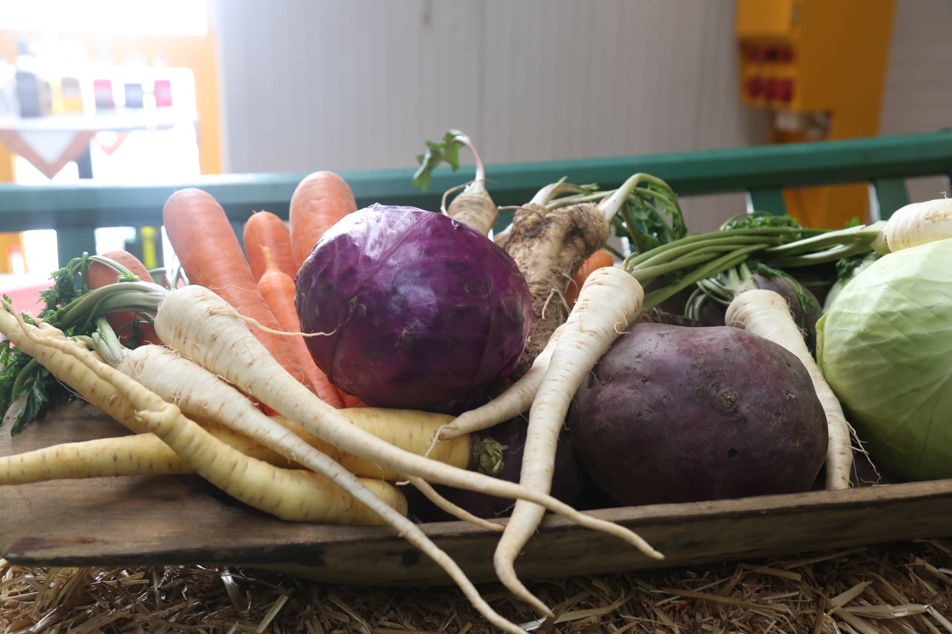 Dani zahvalnosti u Nedelišću