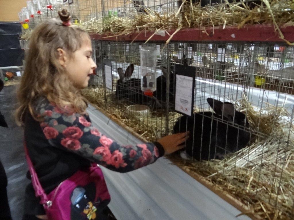 FOTO Održana izložba malih životinja u Kotoribi: Proglašeno čak 42 šampiona!