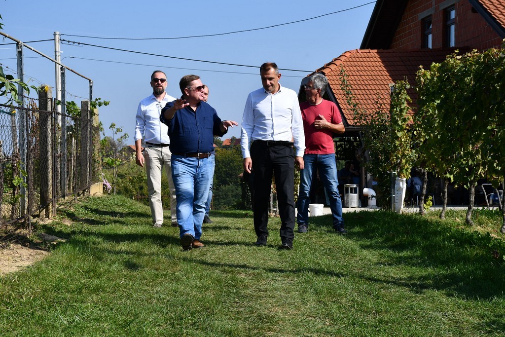 Vinarija Horvat, berba