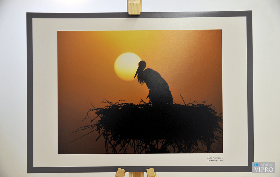 U Prelogu održano predavanje i otvorena izložba o bijeloj rodi