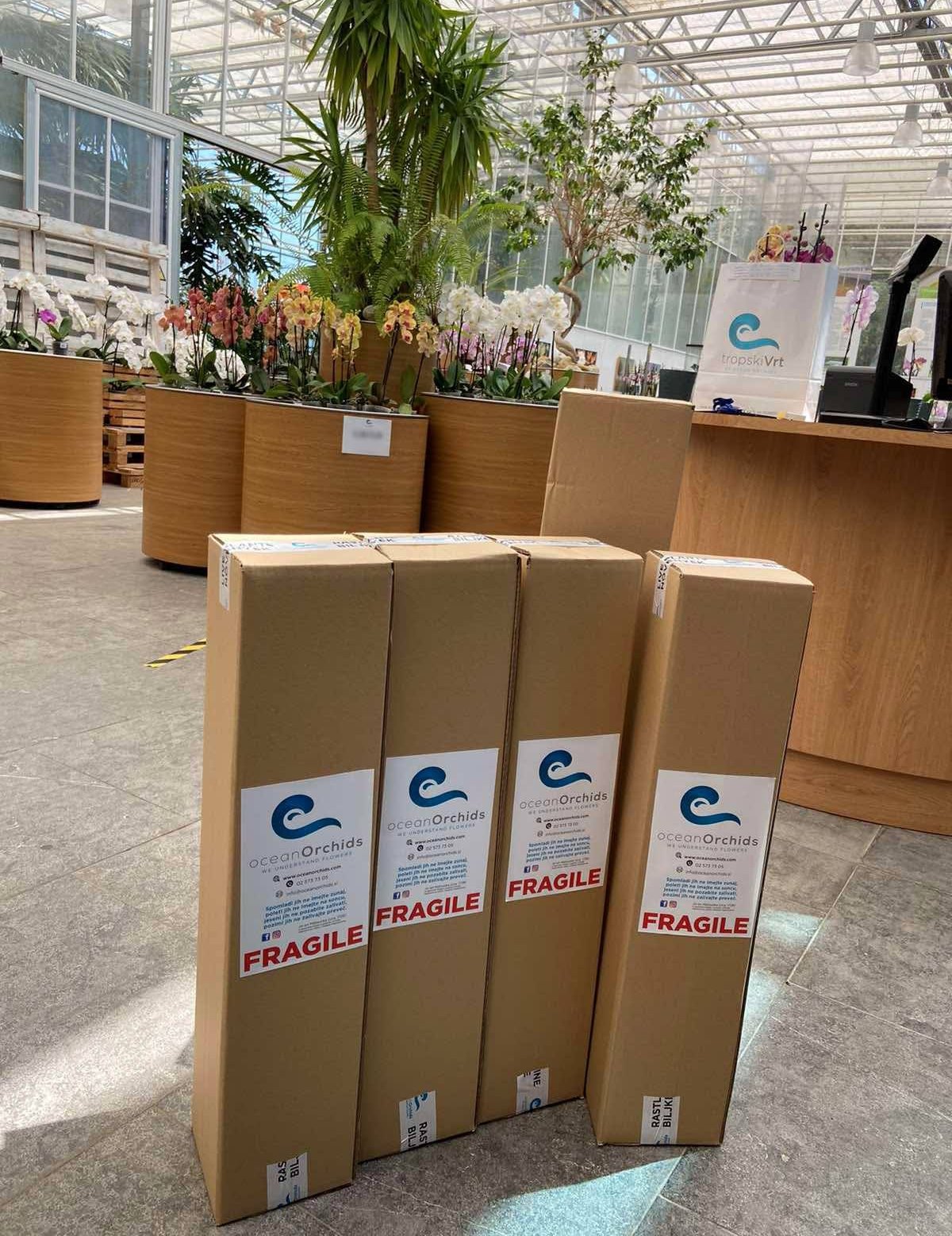 Image 5818443 (auto)