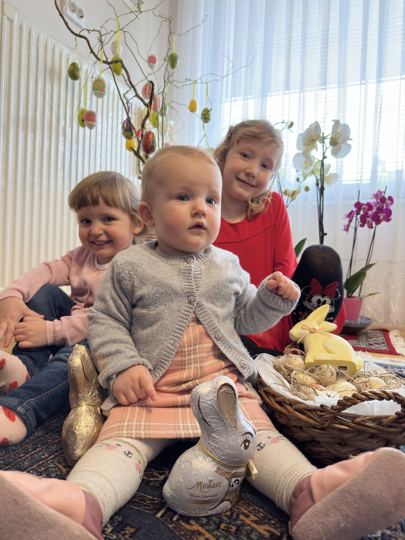 Najslađa galerija Najslađa galerija