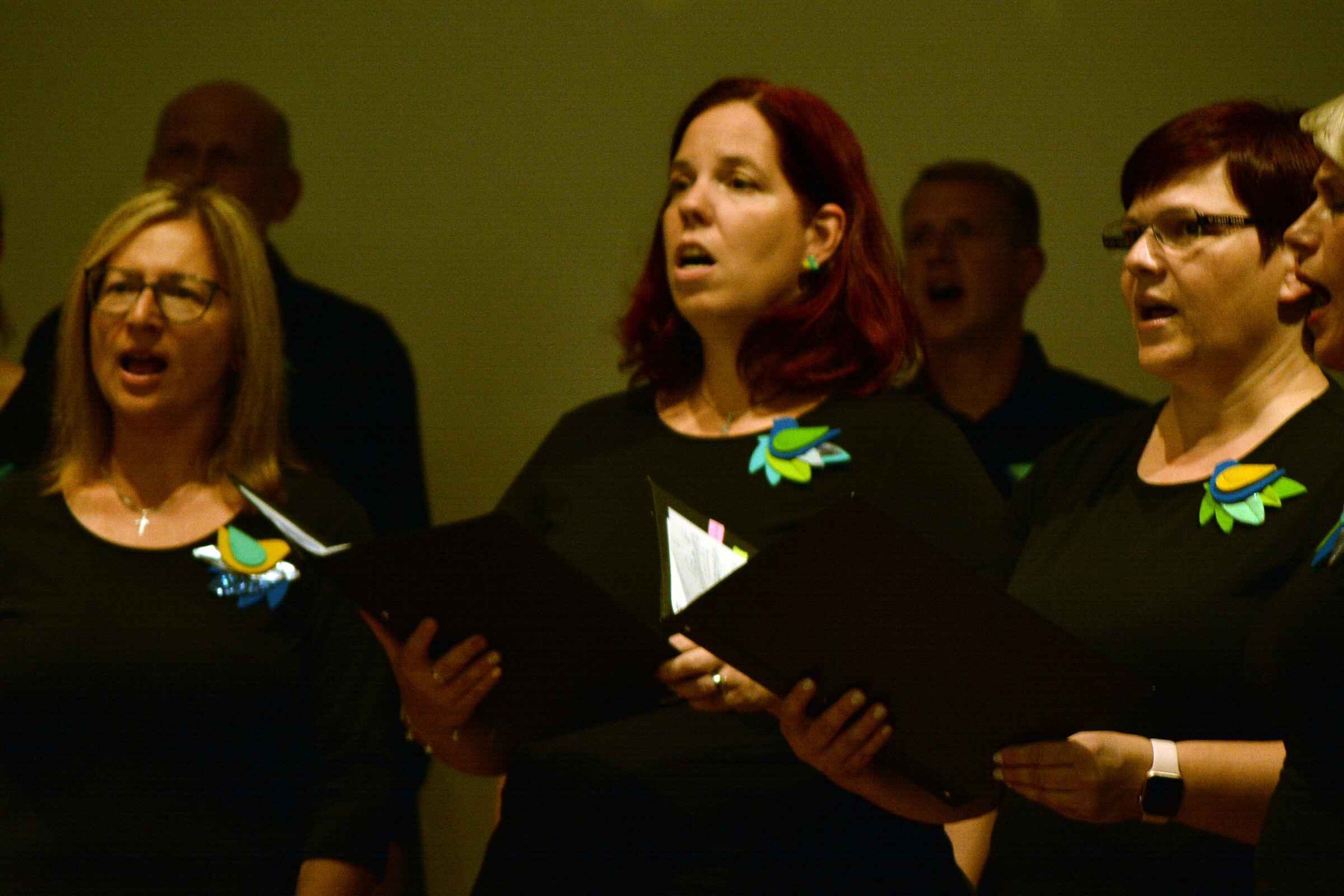 PREDIVNA SUBOTNJA VEČER Koncert Ansambla Pučpuljike