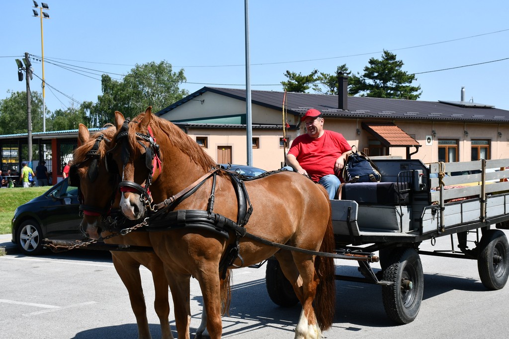 VIDEO I FOTO Međunarodno konjičko druženje okupilo brojne uzgajivače konja iz SZ Hrvatske te Slovenije i Austrije