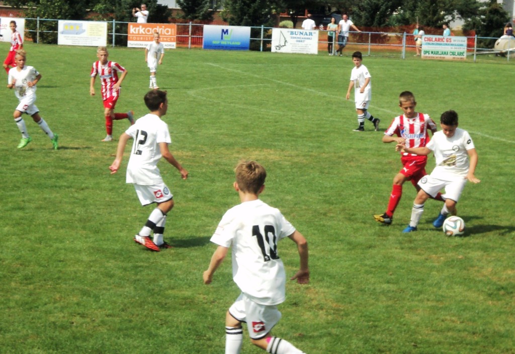 dsc02410492012