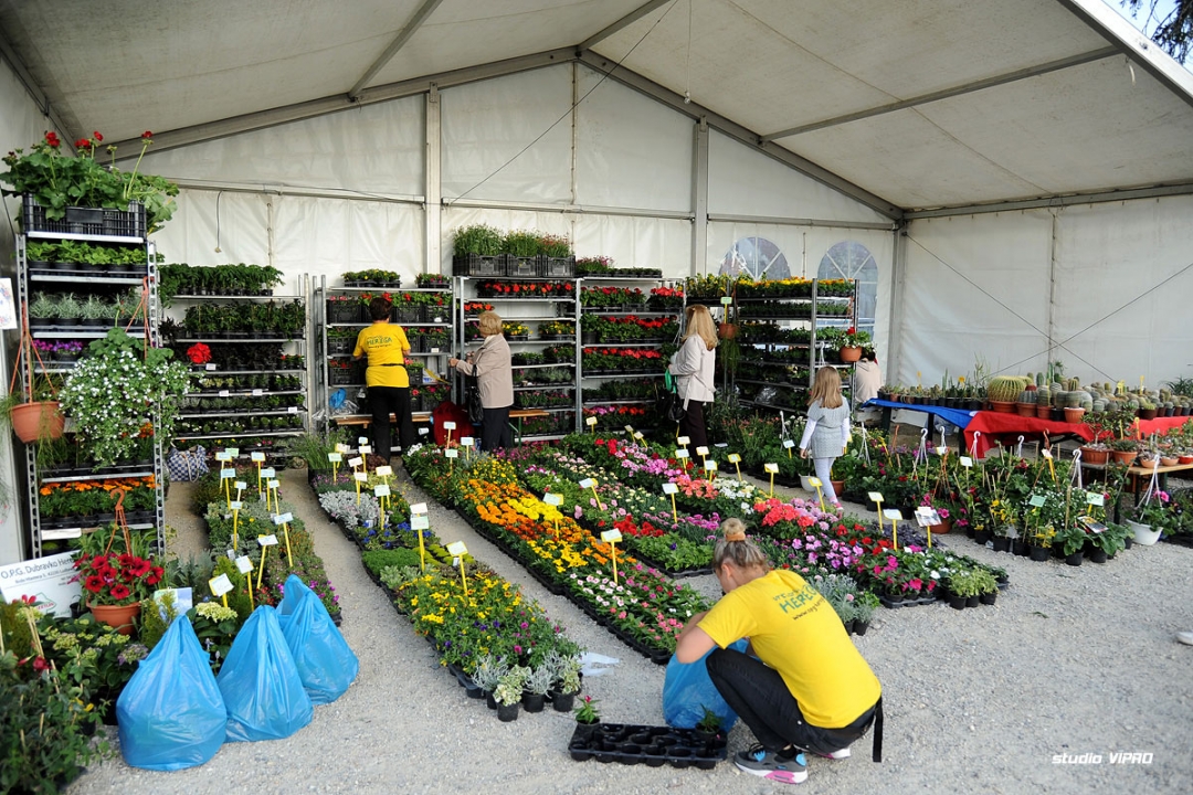 287611839dsc2915223618