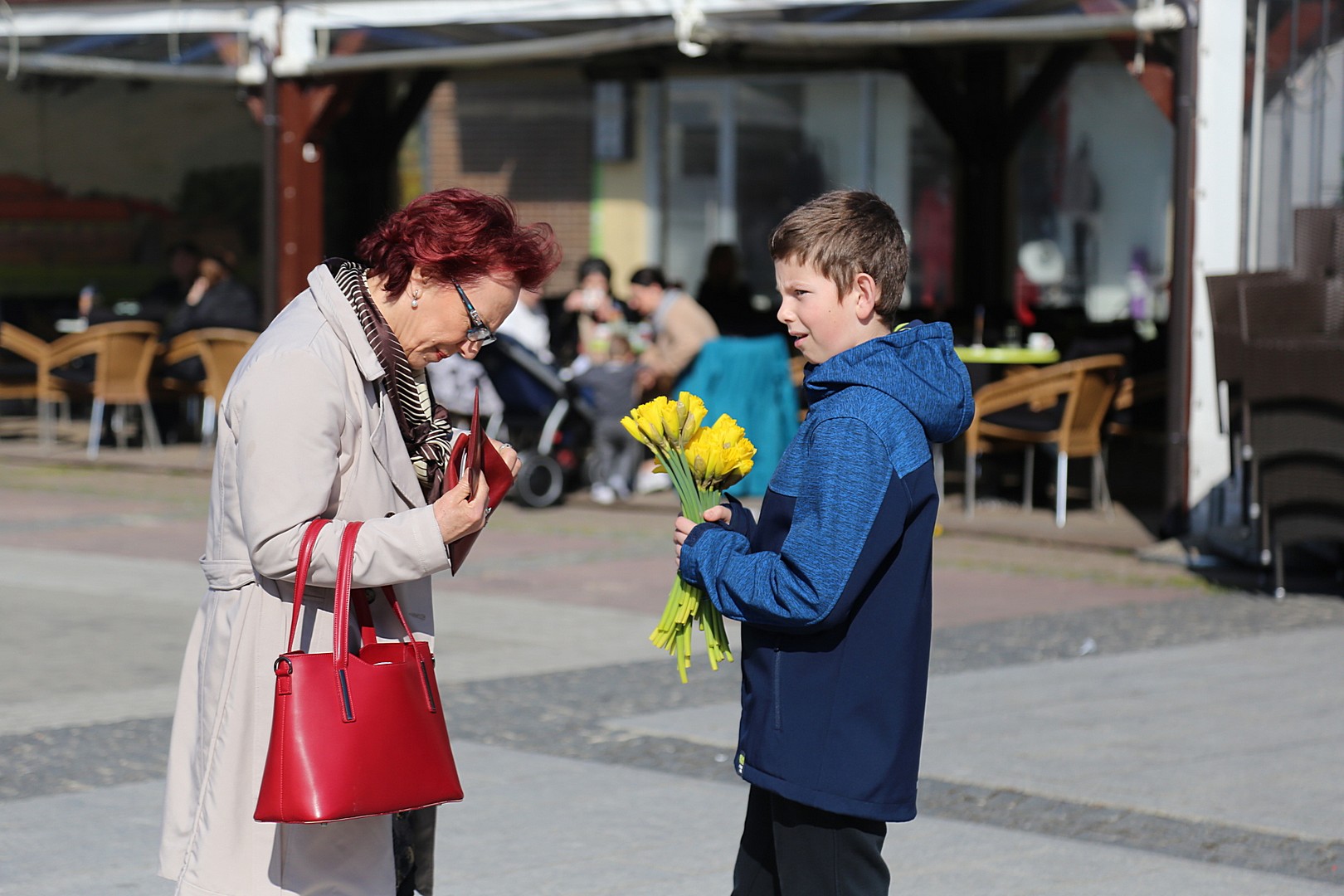 Dan narcisa – Međimurje obojeno u žuto