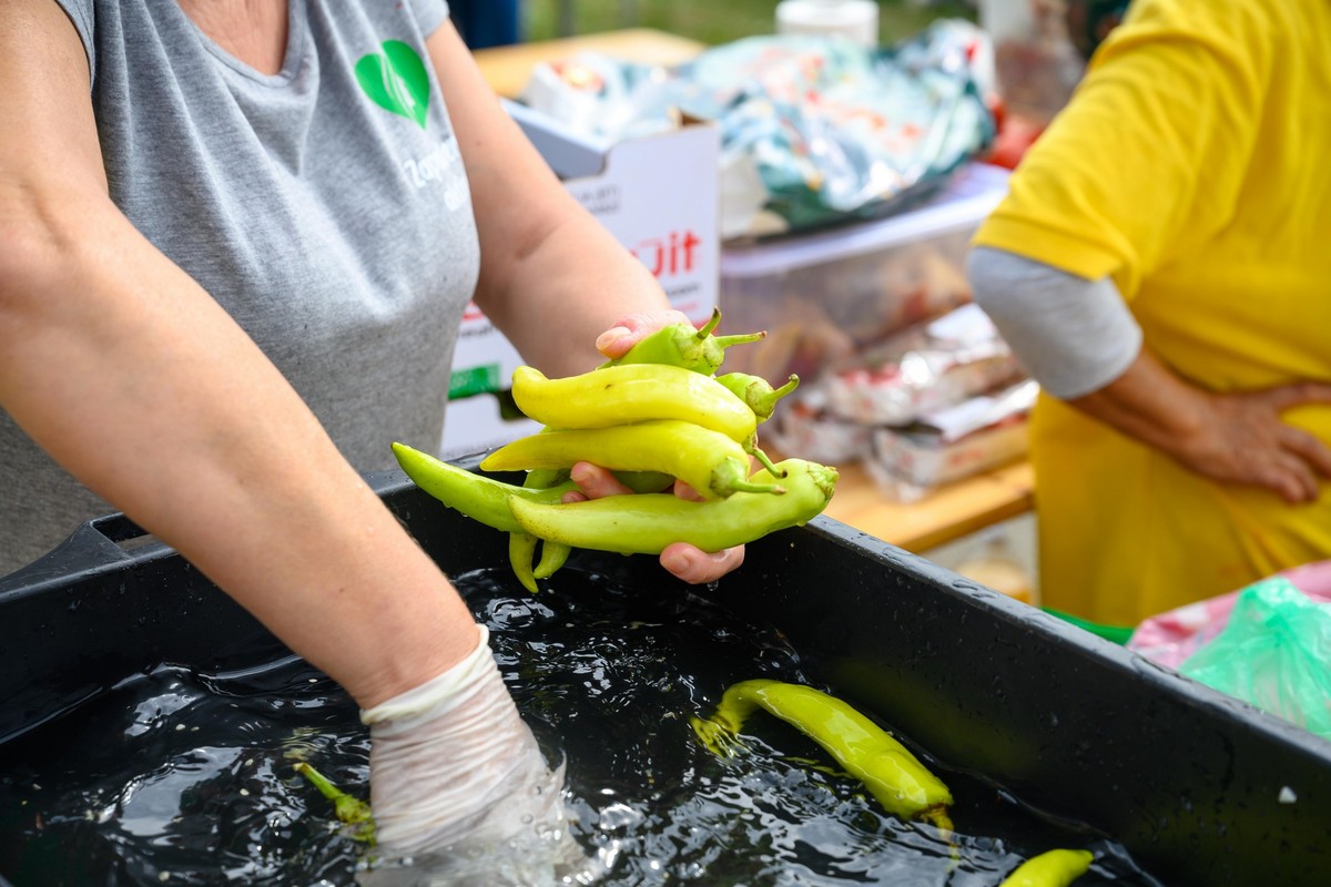 Veljko Kajtazi, Suzana Krčmar, Sitnice,