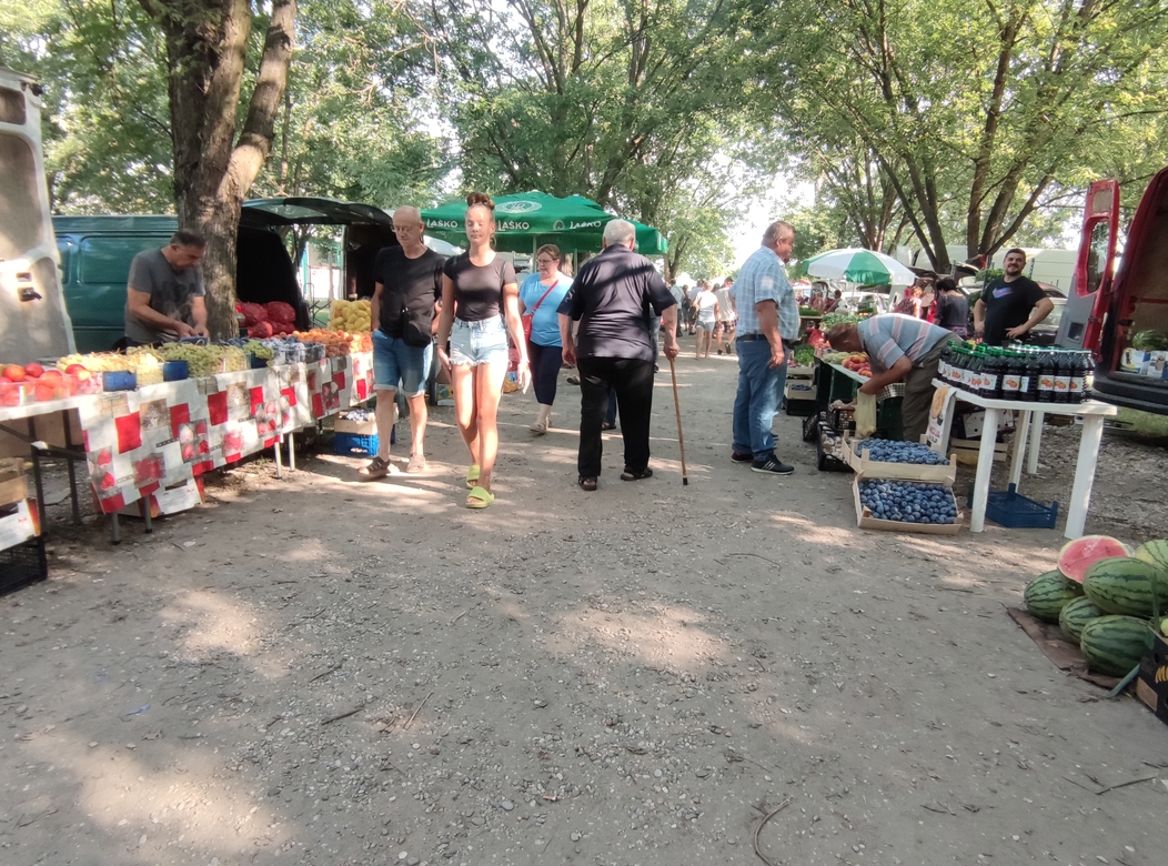 Image 5810841 (auto)