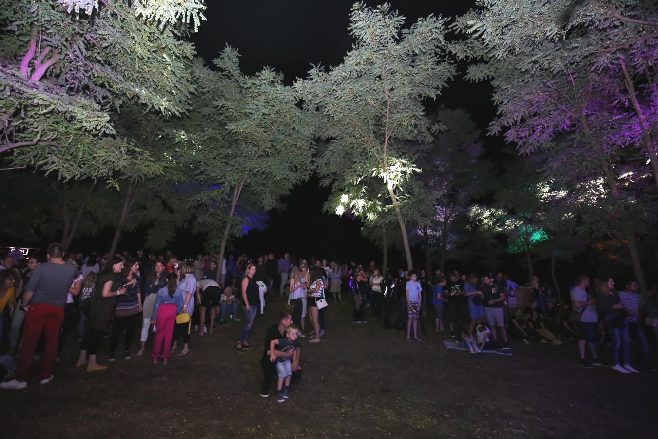 Odličan koncert Vatre u predivnom ambijentu Mađerkinog brega