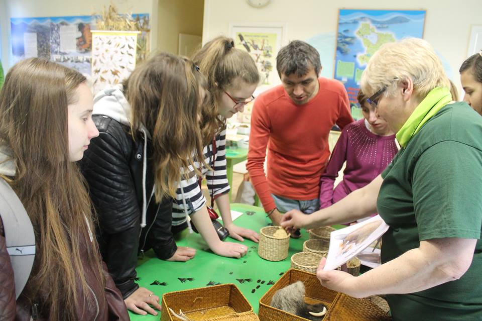 1311564810153566801171299419492