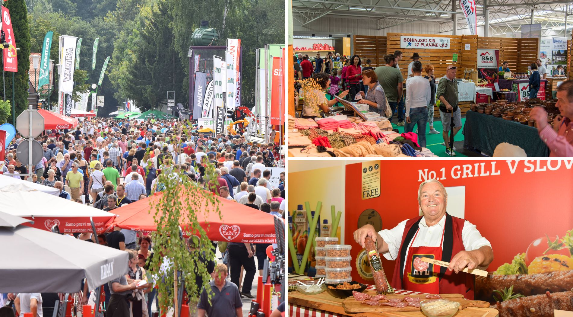 Image 5803637 (auto)