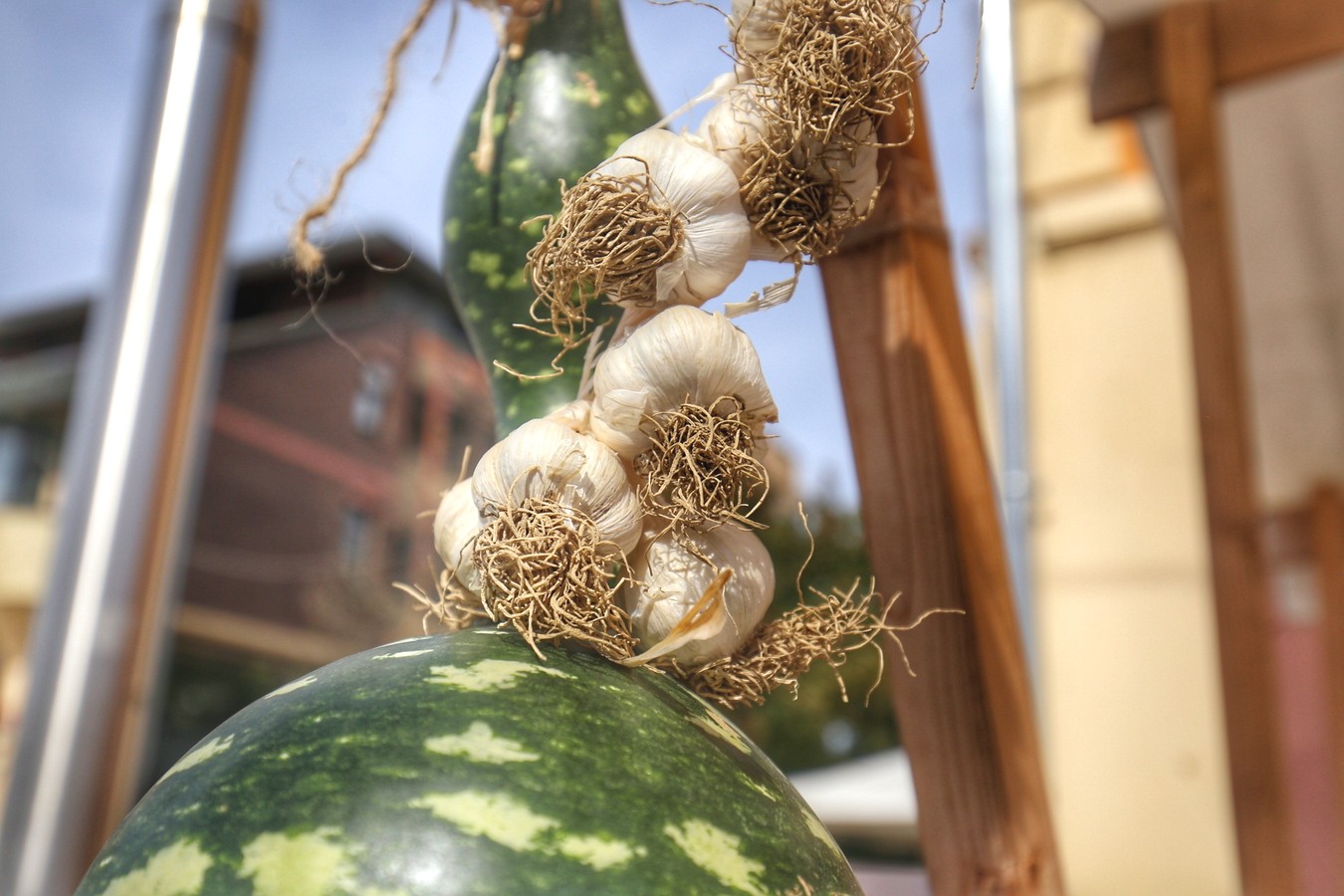 JESEN U GRADU ZRINSKIH Čakovec ‘obukao’ predivno jesensko ruho
