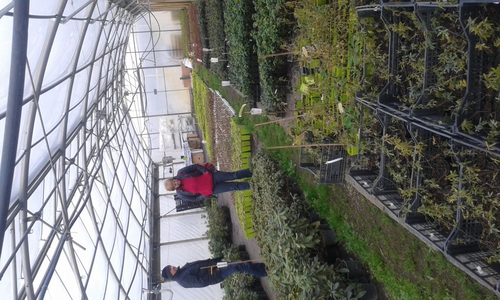 20160305153750188517